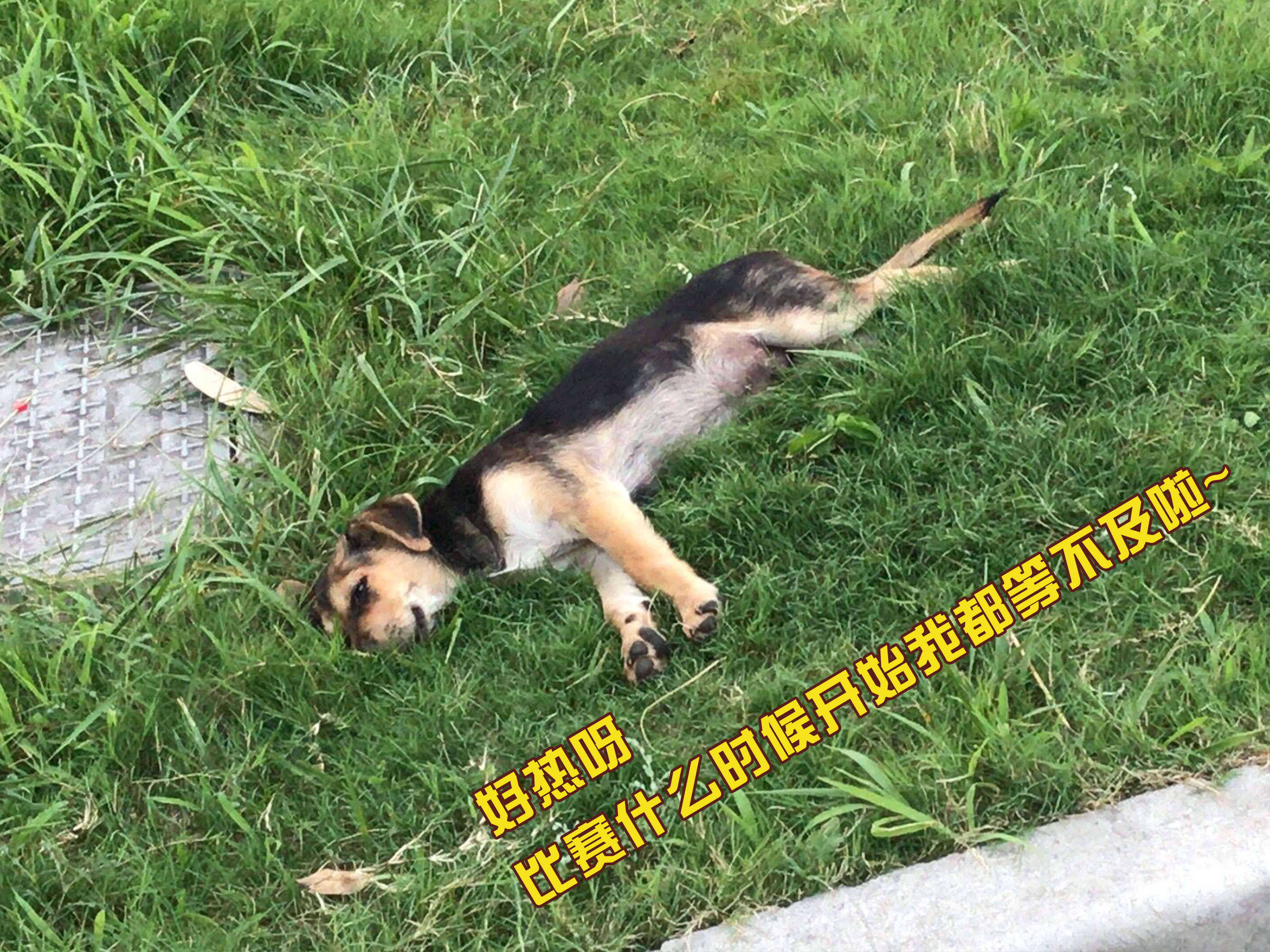 今天37℃？但我們的熱情絕對不止于此！(圖2)